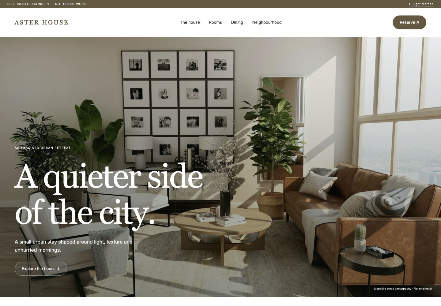 Aster House original website concept screenshot